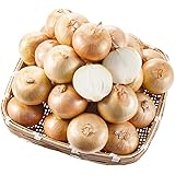 北海道産玉葱１０ｋｇ カレーやシチュー、バーベキューに (2L(約350g/個))