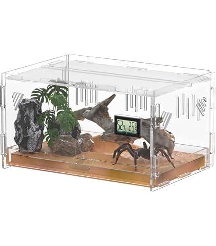 ゆるれぷ　高級瀬戸焼　可愛いウェットシェルター2個セット　レオパニシアフ爬虫類5 Amazon.co.jp: ゆるれぷ 高級瀬戸焼 可愛いウェットシェルター