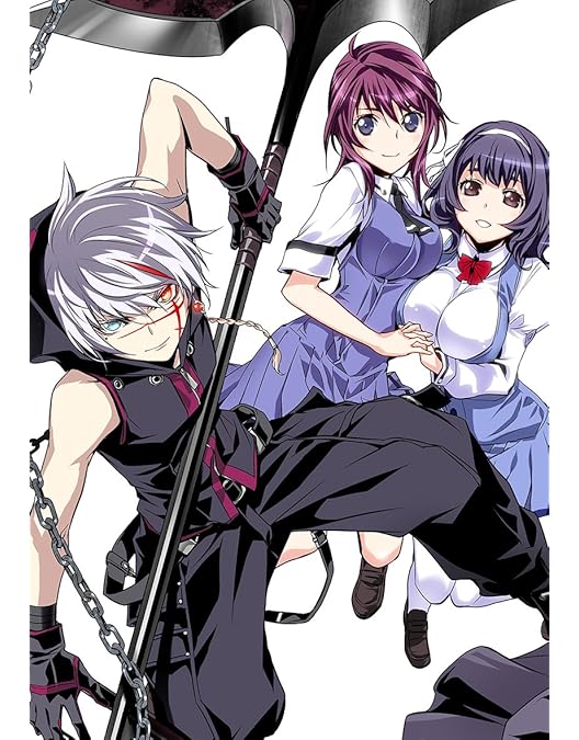 Amazon.co.jp: クイーンズブレイド Complete Blu-ray BOX : 川澄