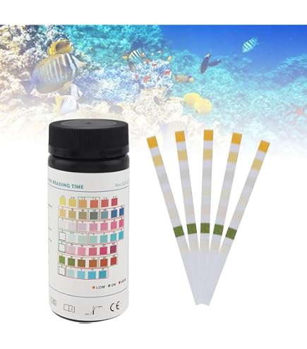 Amazon.co.jp: KOSUZO コスゾー SA集 一問一答 2025 参考書 昇任試験