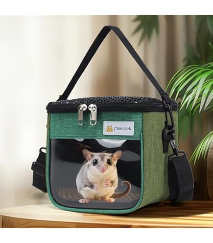 フクモモテトラポーチ　ハロウィン黒ベース 71w3cerP+JL._AC_UL210_SR210,