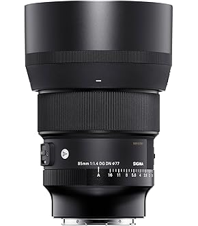 【美品】sigma 24-70mm f2.8 art eマウント　sony Amazon.co.jp: シグマ(Sigma) レンズ 24-70mm F2.8 DG DN Sony