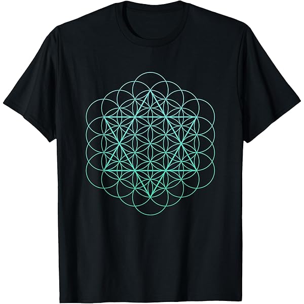 抽象的な線画 半袖Tシャツ 未使用 羽水 うすい 和柄 Tシャツ 手描き 愛染明王 半袖 ai21
