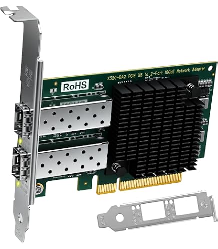 25GbE NIC Network Card Compatible with Mellanox ConnectX-4,Dual