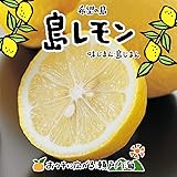 希望の島 レモン 3kg 訳あり品 サイズ込 残留農薬ゼロ 国産 愛媛 中島産 瀬戸内レモン