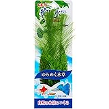 GEXジェックス プランテリア ケヤリ草 S