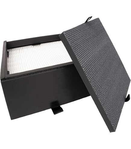 Amazon.co.jp: A01A-P100 集じん 脱臭フィルター A01A-WH BALMUDA The
