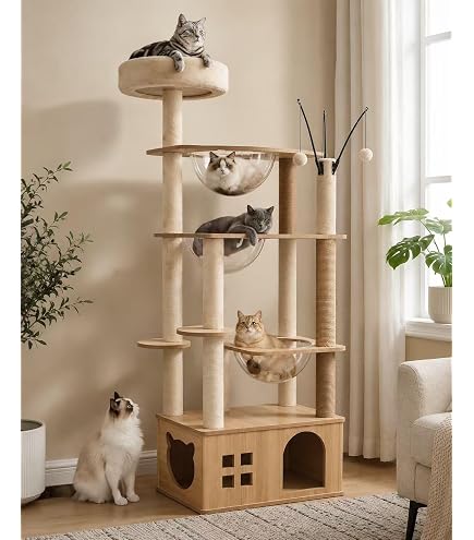 Amazon | Yilucess キャットタワー 木製 短足猫 子猫向け 猫タワー