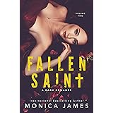 Fallen Saint: All The Pretty Things Trilogy Volume 2