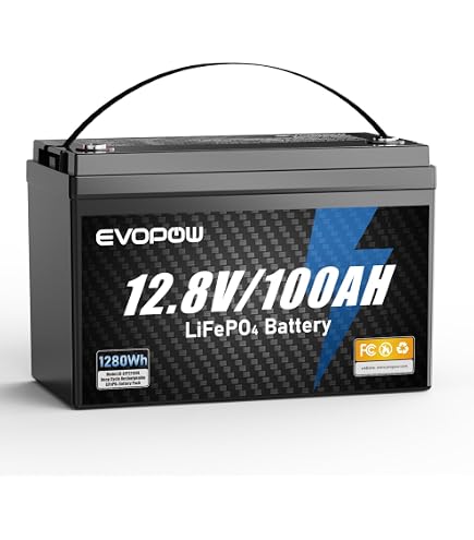 Amazon.co.jp: DATOUBOSS 12V 100Ah リン酸鉄リチウムイオンバッテリー