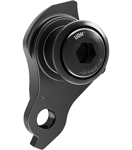 Amazon | SRAM GX Eagle AXS リアディレイラーカバーキット クラッチ