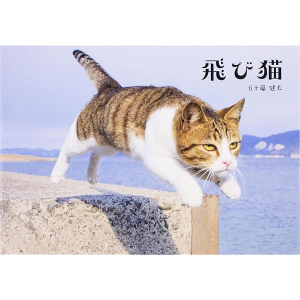 飛び猫 | 五十嵐 健太 |本 | 通販 | Amazon