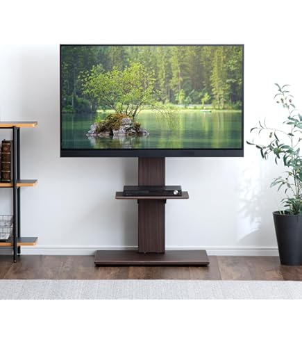 Amazon.co.jp: タンスのゲン テレビスタンド【棚板2枚付】隠し