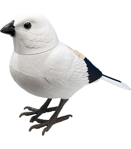 Amazon.co.jp: 縁起物 天然木 カルガモ 鳥 木彫り置物 カモ 鴨 小鴨
