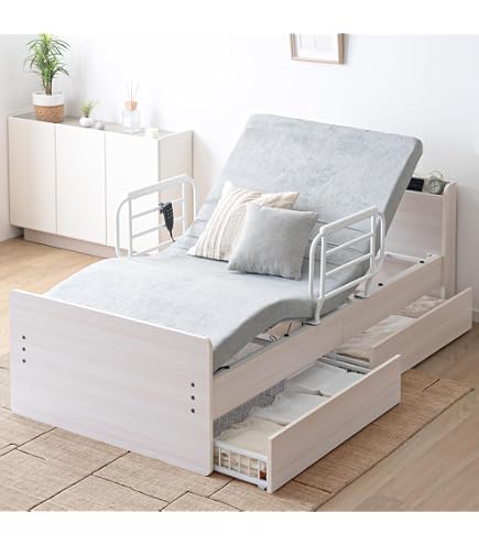 Amazon.co.jp: パラマウントベッド (旧モデル)Active Sleep BED用 手元