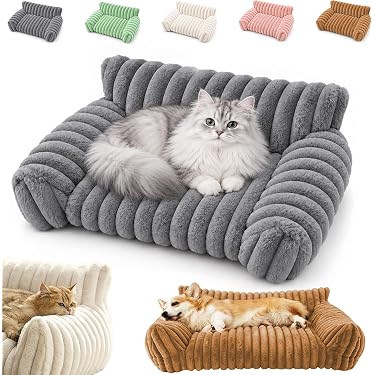 Amazon.co.jp 最新リリース: 犬用ベッド・クッション の新着ランキング