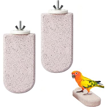 Amazon.co.jp 最新リリース: 鳥用品 の新着ランキングです。