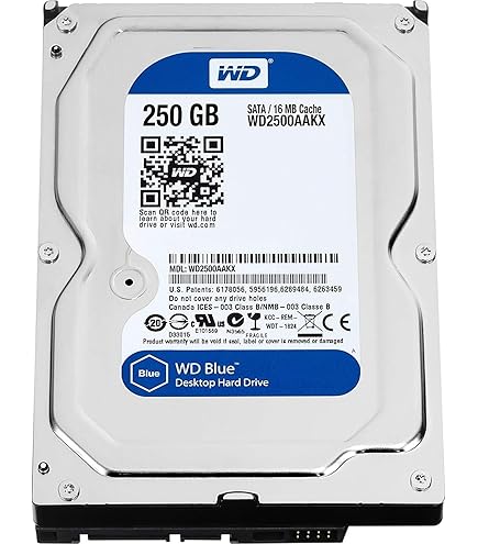 外付けハードディスク・ドライブ WD Caviar Blue 250GB HDD WD2500AAJS Amazon | WD Blue 250GB Everyday PC Desktop Hard Drive: 3.5
