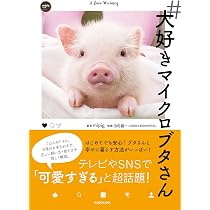 Amazon.co.jp: #大好きマイクロブタさん : mipig, 田向 健一: 本