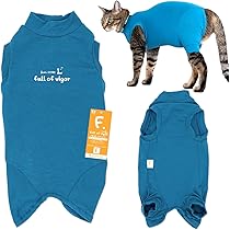 babythree　スーパーレアシークレット　洋服を着てる子猫 babythree スーパーレアシークレット 洋服を着てる子猫