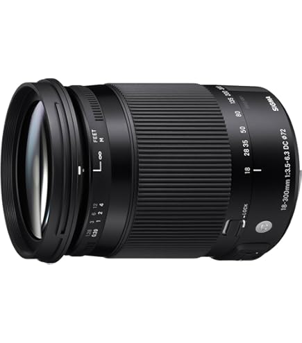 Amazon.co.jp: SIGMA 30mm F1.4 DC HSM | Art A013 | Sigma SAマウント