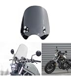 Amazon | デイトナ(Daytona) レブル1100/DCT(21-23)専用 スクリーン