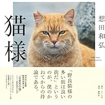 ねこさま様 今日発売のanan 特別編集にゃんこ❤️LOVEに おいちゃんが載ってます