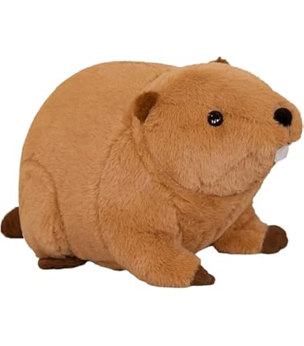 Amazon.co.jp: SUPER BEAVER スーパービーバー ビーバーちゃん