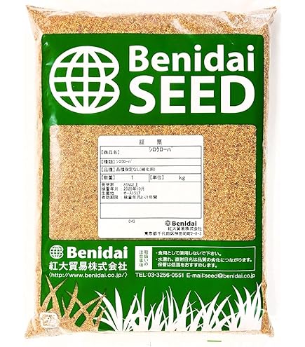 赤クローバー　種子　5Kg　（家庭菜園用） 赤クローバーの種【メジウム】〔固定種〕 - 種の専門店 松尾農園