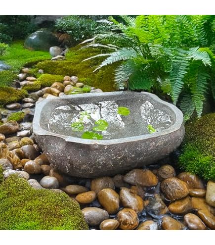 Amazon | 信楽焼 蹲 滋 つくばい（竹、柄杓付）【tu-0019】 屋外 竹