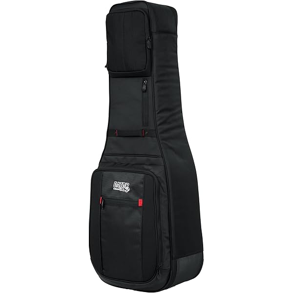 Amazon.co.jp: RITTER RGB4‑DE ANT BERN Double Electric Guitar