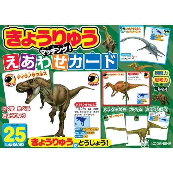 恐竜カード　84枚セット 楽天市場】【ふるさと納税】恐竜王国福井の恐竜絵合わせカード ～ 恐竜