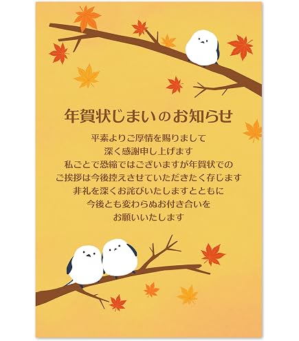 Amazon | パピレイ 年賀状じまい ハガキ 年内お知らせ 10枚入り 私製