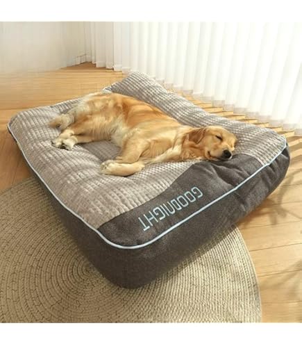 Amazon | 【大型犬と一緒にくつろげる】洗える ふわもこ ドッグ