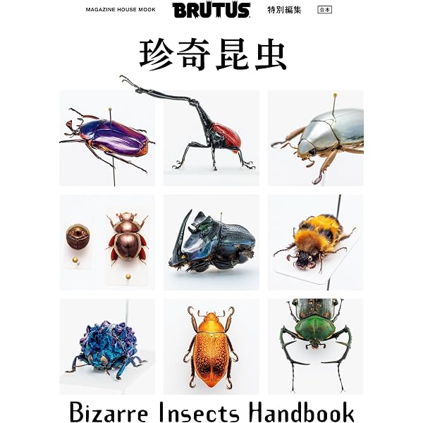 世界のタマムシに魅せられて | 林 昌利 |本 | 通販 | Amazon