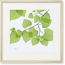 Amazon.co.jp: 絵画「葉のひろがり」インテリア 絵 花 アートパネル 額