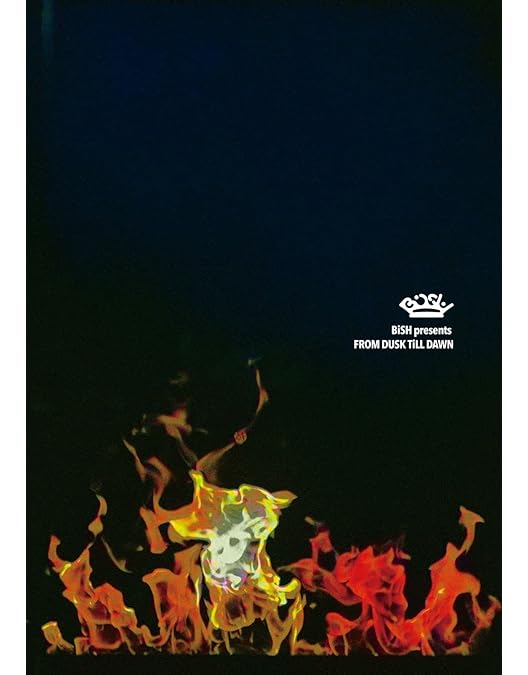 Amazon.co.jp: Less Than SEX TOUR FiNAL “帝王切開