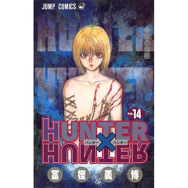 HUNTER X HUNTER13 | 冨樫 義博 |本 | 通販 | Amazon