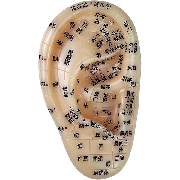 貼るだけキレイに！耳つぼエステ （スワロフスキー耳つぼシール付き