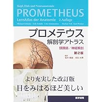 プロメテウス解剖学アトラス 口腔・頭頸部 第2版 プロメテウス解剖学アトラス 口腔・頭頸部 第2版 | 書籍詳細