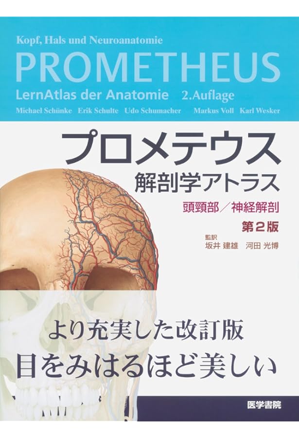 プロメテウス解剖学アトラス 解剖学総論/運動器系 第3版 | 坂井 建雄