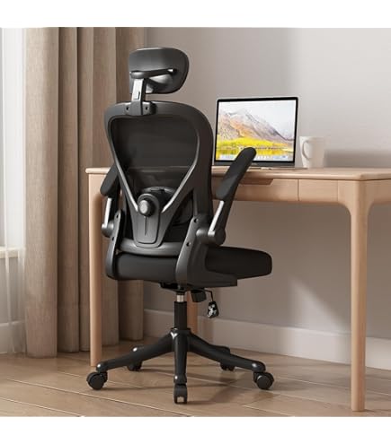 Amazon | Hara Chair ハラチェア ゼノン【回転肘】（ブラック）高機能