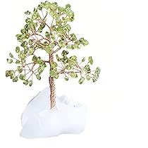 Amazon.co.jp: 招財樹 金のなる木【橄欖石 ペリドット】 水晶