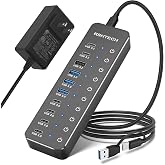 RSHTECH USBハブ 電源付き 10ポート USB-Cx6 USB-Ax4 （ST10C-6） | 10Gbps高速データ転送、セルフパワー、アルミ製、12V/5A 60W ACアダプタ、独立個別スイッチ、2in1ケーブル付き