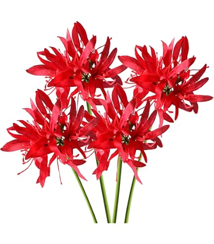 Amazon｜山久 造花 彼岸花 3本セット 曼珠沙華 FM8392 シルクフラワー
