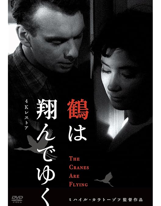 Amazon.co.jp: アレクサンドル・ネフスキー [DVD] : ニコライ