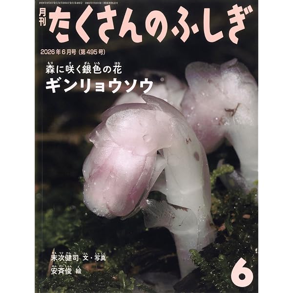 光るきのこ (たくさんのふしぎ2023年6月号) | 宮武健仁, 宮武健仁 |本