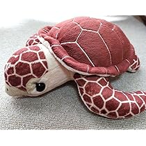 Amazon.co.jp: 海遊館 ウミガメ ぬいぐるみ : おもちゃ