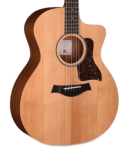 Amazon | Taylor / 114ce Natural with ES-2 Pickup System テイラー