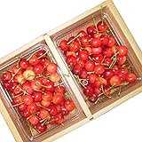 予約 山形県産 さくらんぼ 佐藤錦 訳あり 1kg 専用箱入り